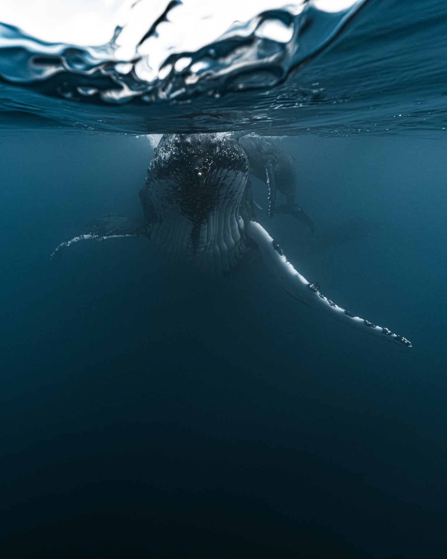 BLUE WORLD I
