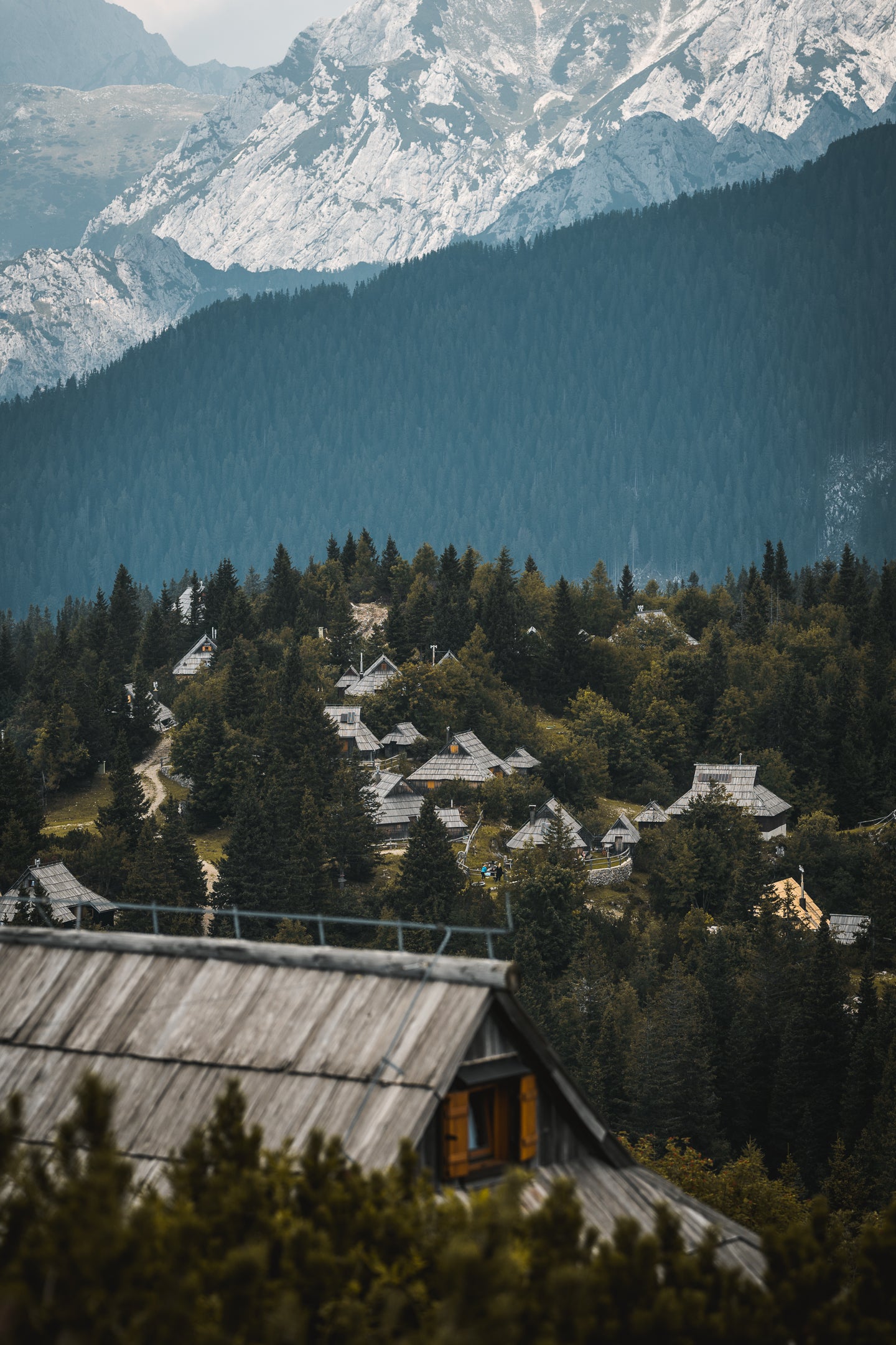 STORIES VII