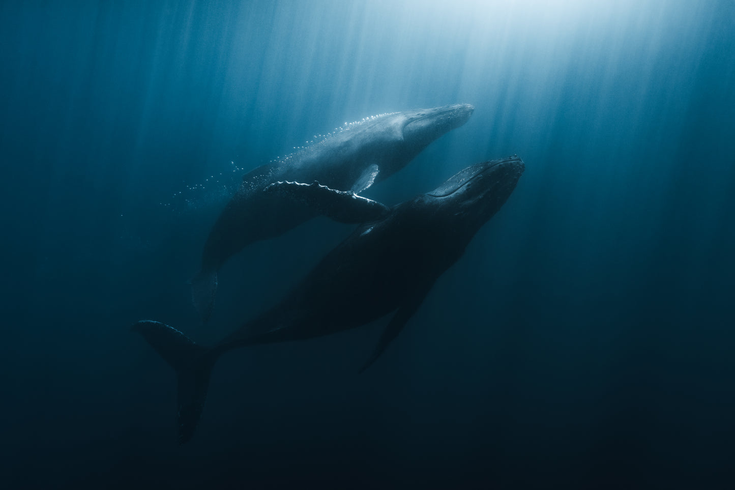 BLUE WORLD III