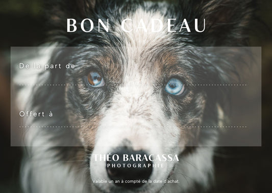 Bon Cadeau séance animalière